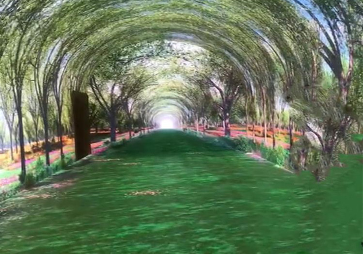 天幕+地面沉浸式